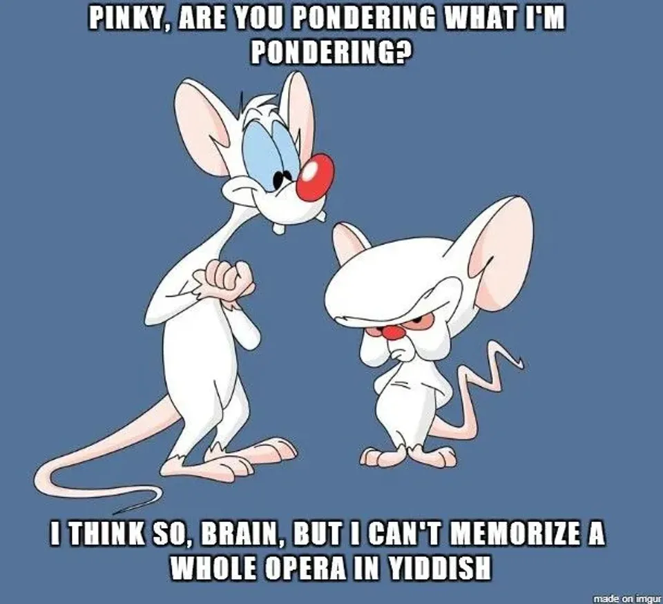Pinky and the Brain